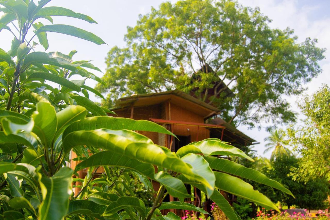 Anushka Nera Nature House Сигирия Стая снимка