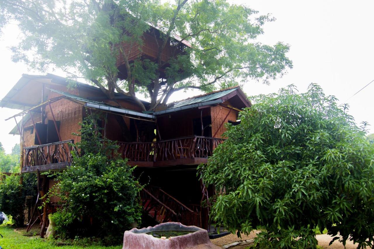 Anushka Nera Nature House Сигирия Стая снимка